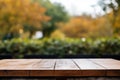 Empty Wooden Table with Blurred Autumn Background, Rustic Wood Surface for Product Display
