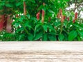 Empty wooden table with blurred red galangal flower background. Royalty Free Stock Photo