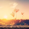 Empty wooden table and field sunset with display montage for product