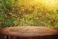 Empty wooden table in front of countryside orange tree background. product display and picnic concept