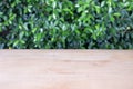 Empty wooden table with green bush, can be used as a background.