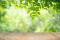 Empty wooden table on green nature background with beauty bokeh under sunlight Royalty Free Stock Photo