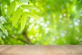 Empty wooden table on green nature background with beauty bokeh under sunlight Royalty Free Stock Photo