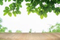 Empty wooden table on green nature background with beauty bokeh under sunlight Royalty Free Stock Photo