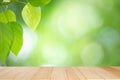 Empty wooden table on green nature background for product display Royalty Free Stock Photo