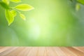 Empty wooden table on green nature background for product display Royalty Free Stock Photo