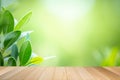 Empty wooden table on green nature background for product display Royalty Free Stock Photo