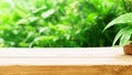 Empty wooden table over blurred green nature background, product display Royalty Free Stock Photo