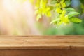 Empty wooden table over green garden blurred background. Spring and easter mock up for design Royalty Free Stock Photo