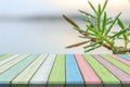 Empty wooden table or plank with small leaf with water from rain near sea or ocean beach on background. Royalty Free Stock Photo