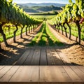 An empty wooden table for product Blurred french vineyard in the Royalty Free Stock Photo