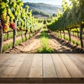 An empty wooden table for product Blurred french vineyard in the Royalty Free Stock Photo