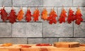 Empty wooden table for product display with maple leaves on kitchen concrete background, minimal autumn concept, creative autumn