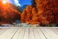 Empty wooden table for product placement or montage with focus to table top in the foreground, blurred autumn landscape in the Royalty Free Stock Photo