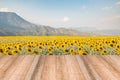 Empty wooden table sunflower and mountain background