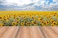 Empty wooden table sunflower and sky background