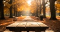 Empty wooden table in a sunlit autumn park pathway with falling leaves Royalty Free Stock Photo