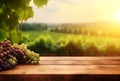 Empty wooden table, sunny vineyard background with copy space Royalty Free Stock Photo