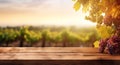 Empty wooden table, sunny vineyard background with copy space Royalty Free Stock Photo