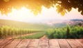 Empty wooden table with sunny vineyard background Royalty Free Stock Photo