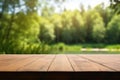 The empty wooden table top with blur background of summer lakes green forest Royalty Free Stock Photo