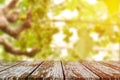 Empty wooden table top on blur of grape garden background. Royalty Free Stock Photo