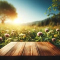 Empty wooden table top with blurred nature background. Meadow with clover flowers and leaves, blue sky in calm sunny day