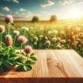 Empty wooden table top with blurred nature background. Meadow with clover flowers and leaves, blue sky in calm sunny day