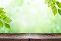 Empty wooden table top and green leaves of plant over blurred nature background. Royalty Free Stock Photo