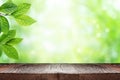 Empty wooden table and green leaves of plant over blurred nature background. Summer background with empty space for product Royalty Free Stock Photo