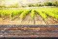 Empty wooden table top, sunny vineyard background, ready to use for display of your products Royalty Free Stock Photo