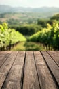 Empty wooden table top surrounded by a blurry vineyard background in a vibrant scene Royalty Free Stock Photo