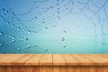 Empty wooden table and web spider water drop Royalty Free Stock Photo