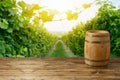 Empty wooden table with wine barrel over beautiful vineyard background. Mock up for design and product display