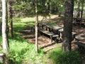 Empty wooden tables with benches for picnic and barbecue in forest Royalty Free Stock Photo