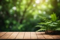 Empty Wooden Tabletop Podium in Garden Open Forest with Blurred Green Plants Background for Organic Product Presentation Royalty Free Stock Photo