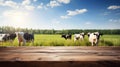 empty wooden tabletop set against the backdrop of a lush meadow pasture where cows graze peacefully