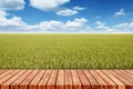 Empty wooden top table with rice fields of the spring. Blue sky