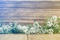 Empty wooden wall  flowers at the bottom Royalty Free Stock Photo