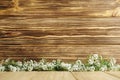 Empty wooden wall  flowers at the bottom Royalty Free Stock Photo