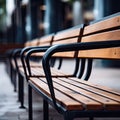 An Empty Woods Seat Awaits Amidst Tranquil Serenity