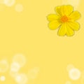 Empty yellow abstract background and a single cosmos flower at the corner.