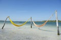 Empty Yellow Hammocks Tropical Beach Sea Brazil