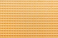 yellow wafer background for your design Royalty Free Stock Photo