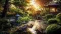 Empty Zen Backyard Japanese Style Blurry Background