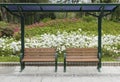 Empy bench in green park