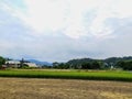 An emty field and rice fields Royalty Free Stock Photo