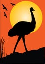 Emu silhouette with yellow moon