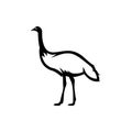 Emu bird silhouette