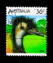 Emu (Dromaius novaehollandiae), Australian Wildlife serie, circa